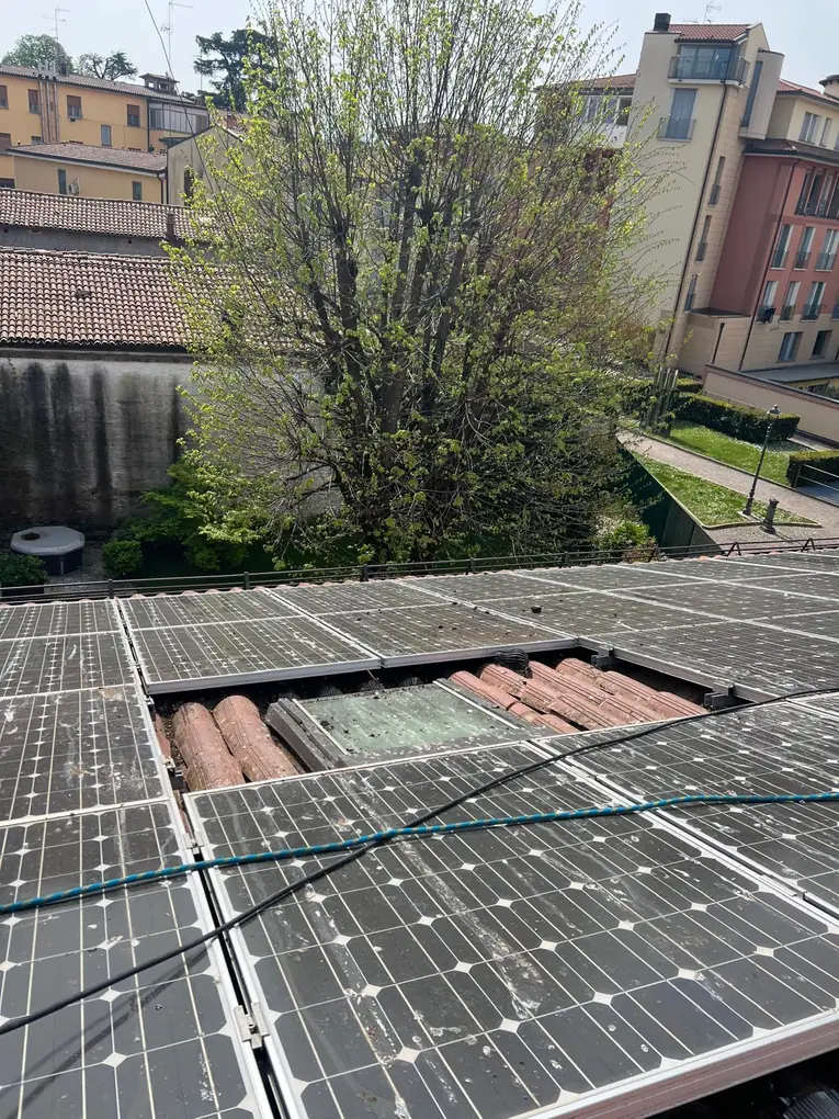 Pannelli fotovoltaici sporchi di guano con colonia di piccioni nello spazio tra le file
