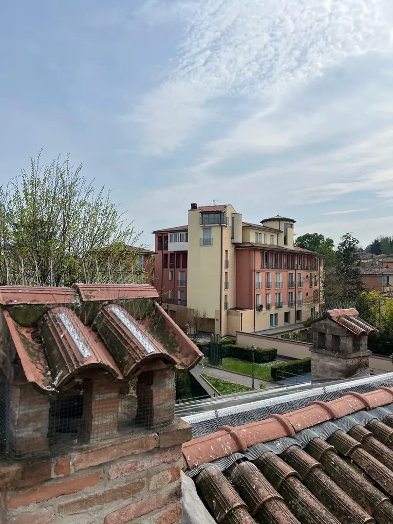 Dissuasori ad aghi e rete sul comignolo vicino all'impianto fotovoltaico