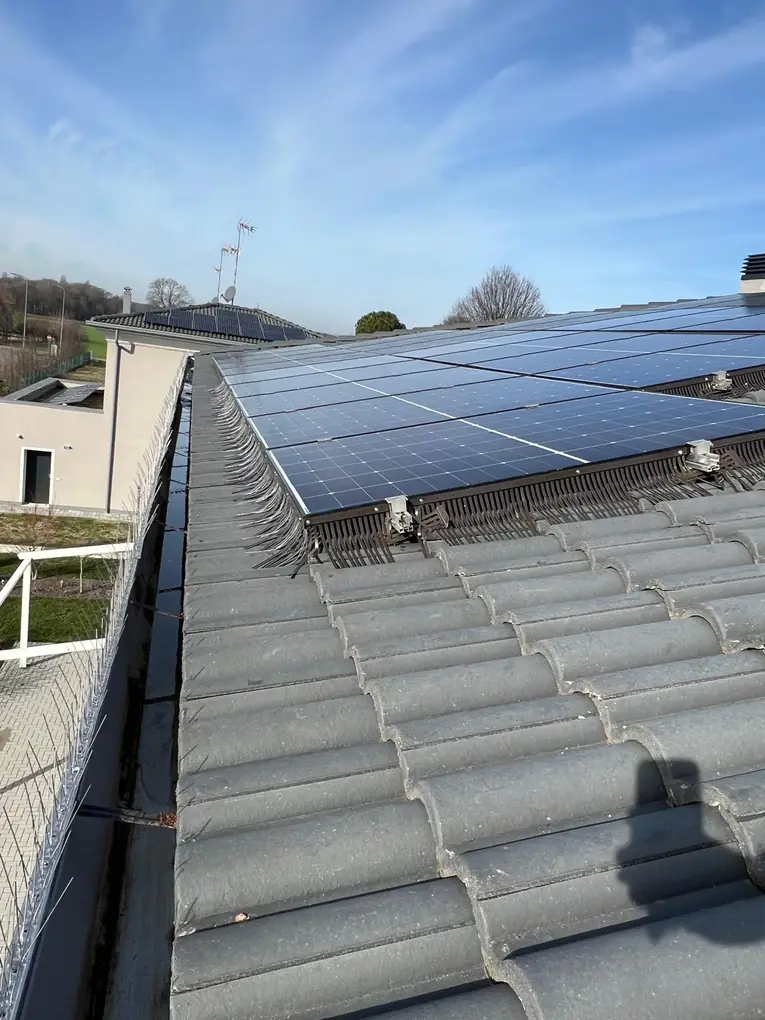 Dissuasori ad aghi sulla grondaia e barriera a pettine sotto i pannelli fotovoltaici su tegole grigie