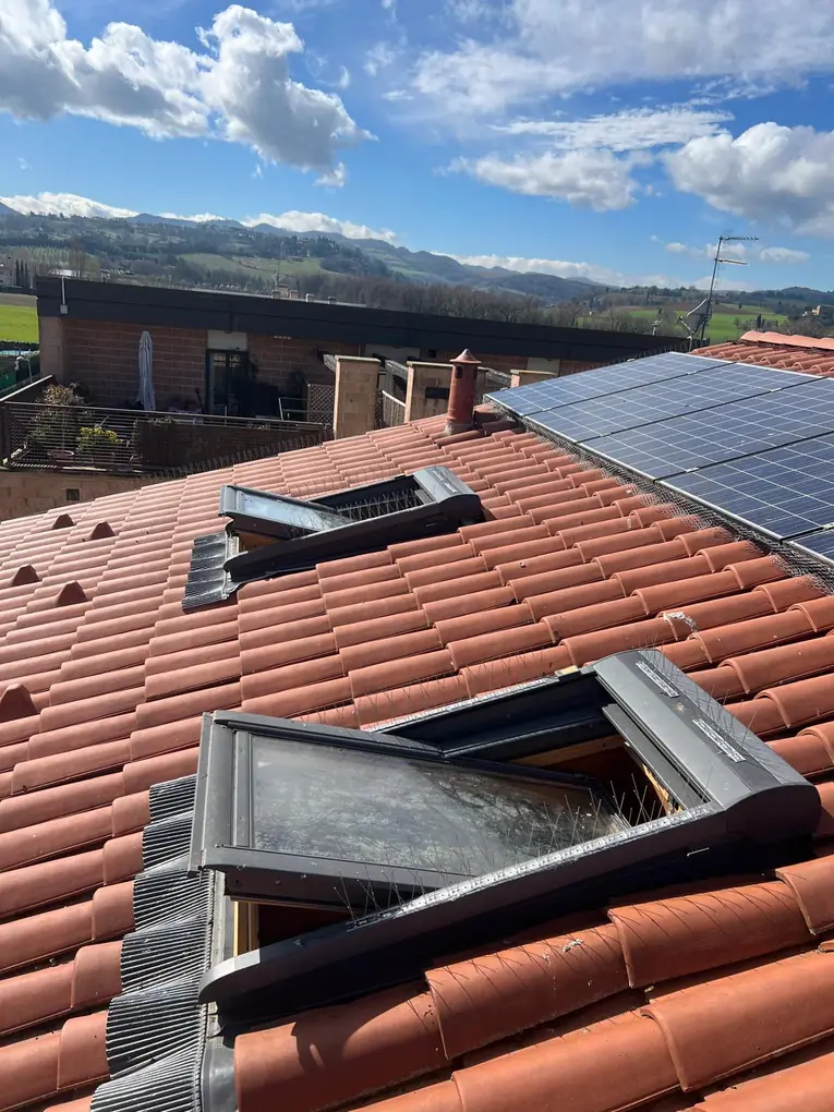 Dissuasori anti-piccioni ad aghi montati sui lucernari vicino all'impianto fotovoltaico