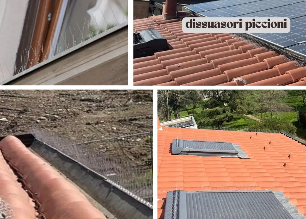 Dissuasori anti-piccioni ad aghi su davanzali, grondaie e lucernari vicino all'impianto fotovoltaico