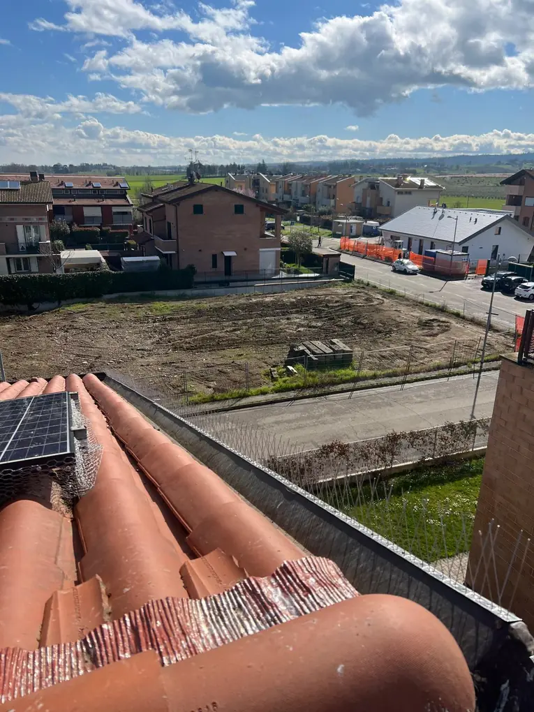 Dissuasori ad aghi lungo la grondaia e rete sotto un piccolo impianto fotovoltaico
