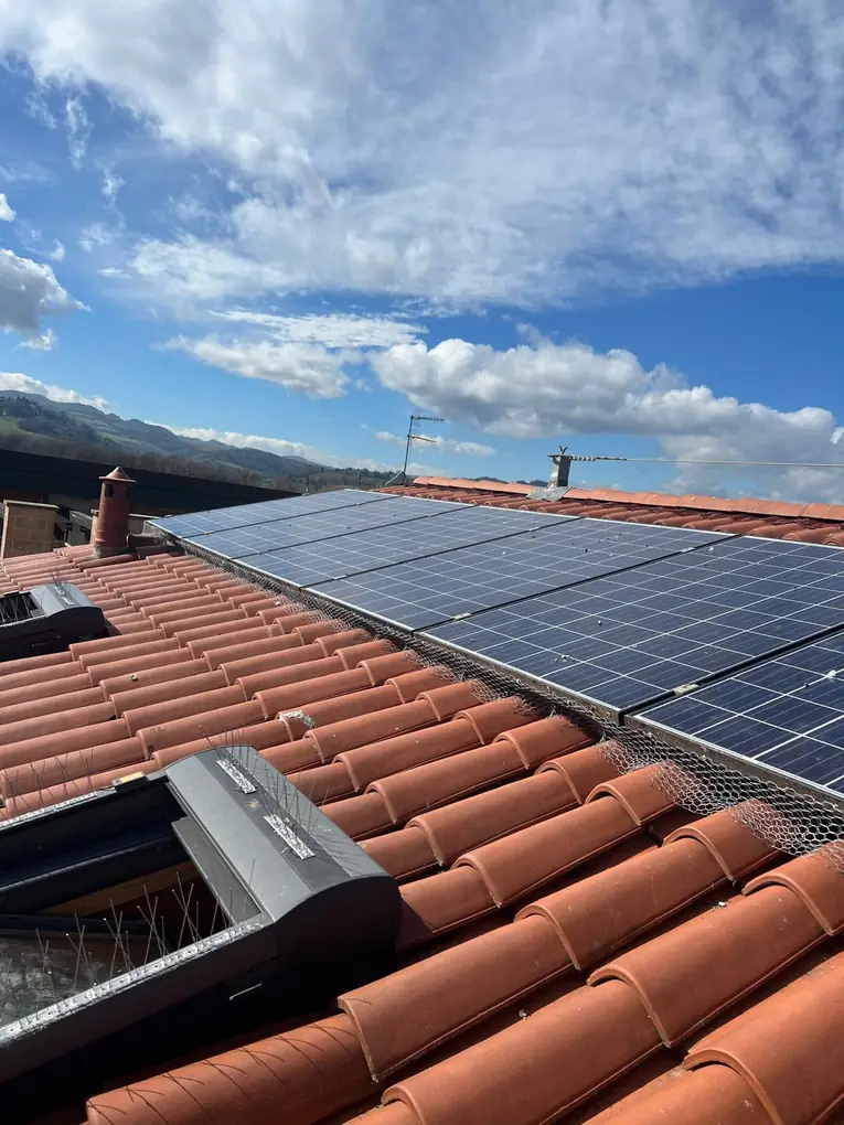 Dissuasori ad aghi sui lucernari e rete anti-piccioni sotto i pannelli fotovoltaici
