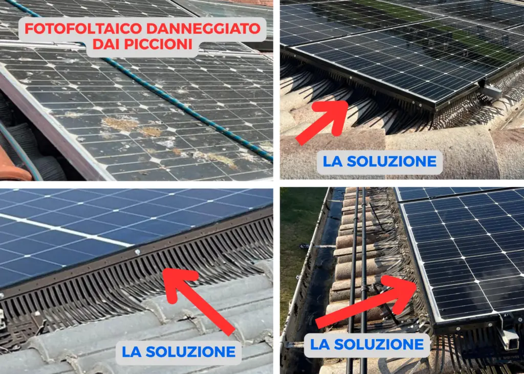 Pannelli fotovoltaici sporchi di guano e la soluzione con barriera anti-piccioni sotto i moduli
