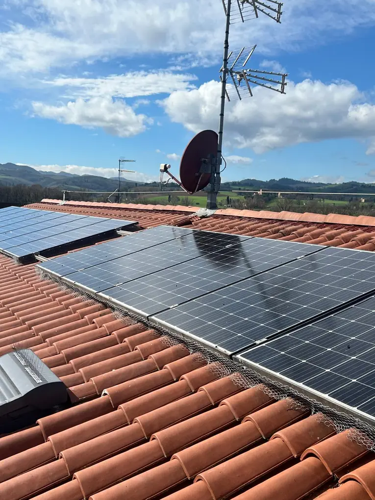Impianto fotovoltaico protetto con rete anti-piccioni su tetto in coppi in zona collinare