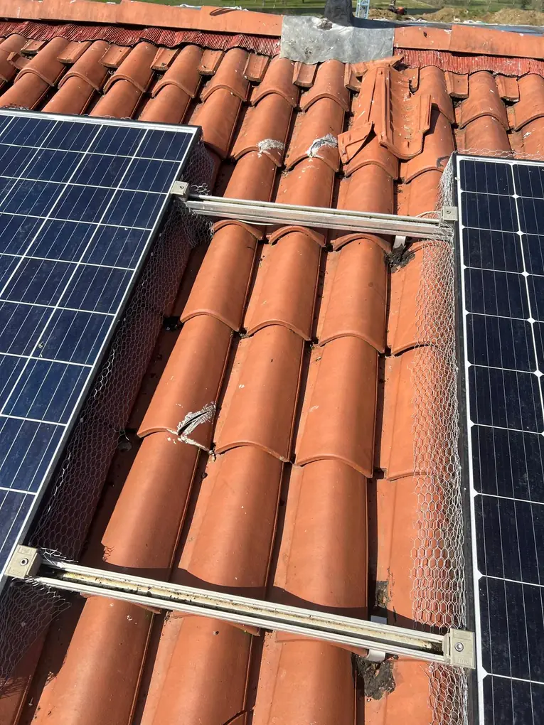 Rete anti-piccioni tra due file di pannelli fotovoltaici, con coppi rotti dai volatili